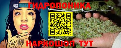 прущие грибы Рыбинск