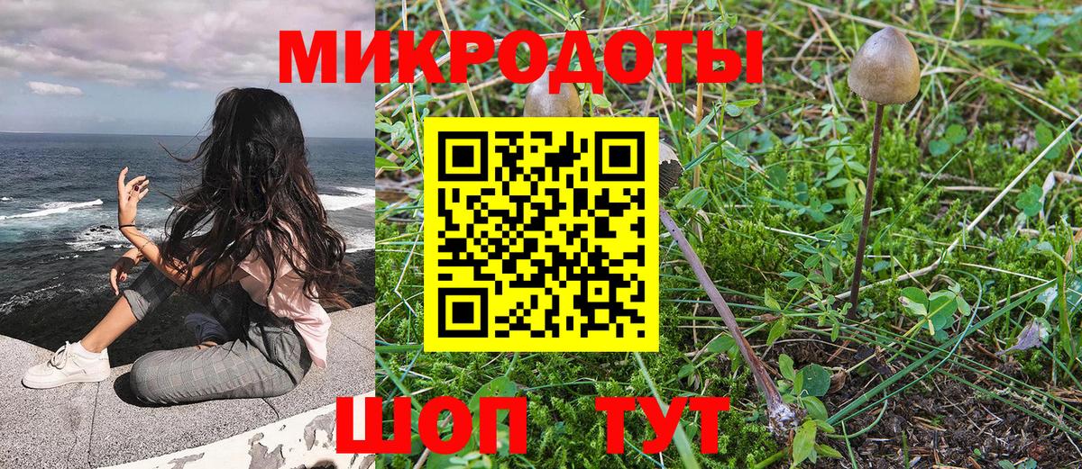 Галлюциногенные грибы Psilocybe Саров