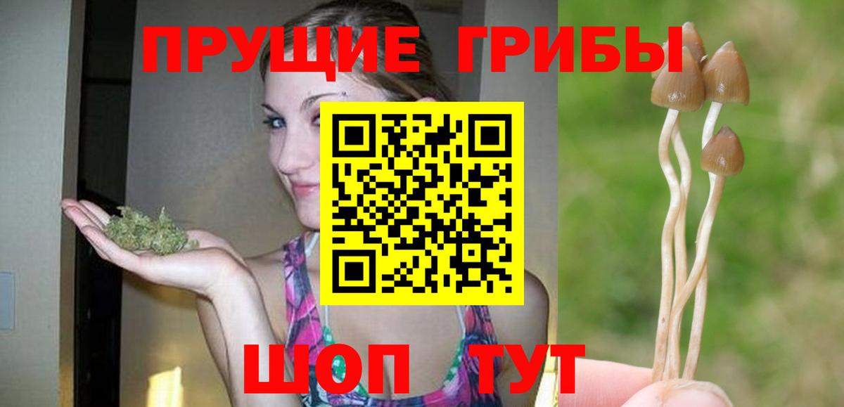 Галлюциногенные грибы ЛСД  Вход с VPN  хочу   Псилоцибиновые грибы ЛСД  Саров 